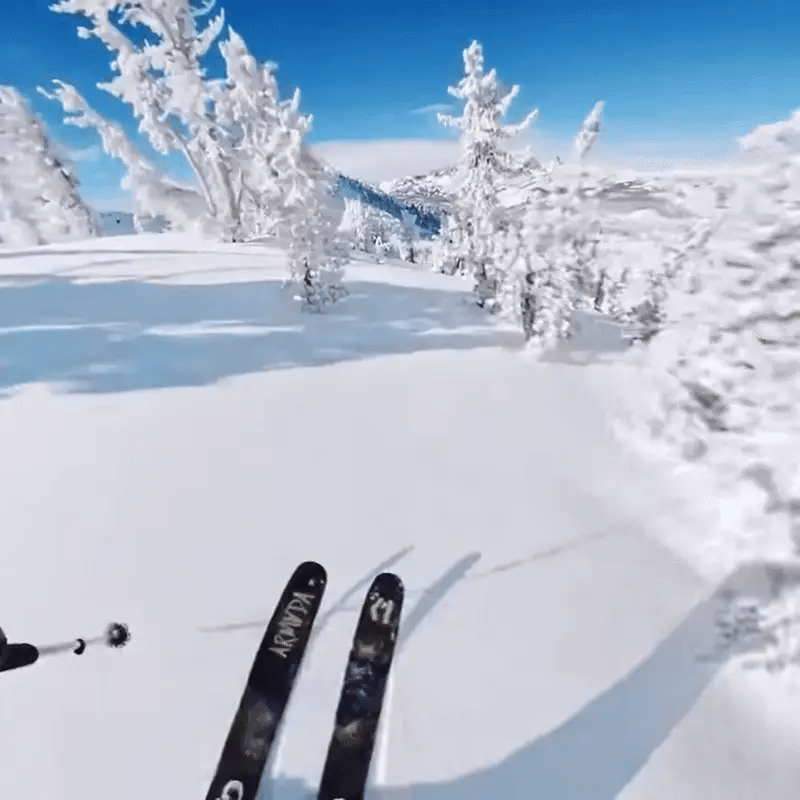 Focus POV Camera